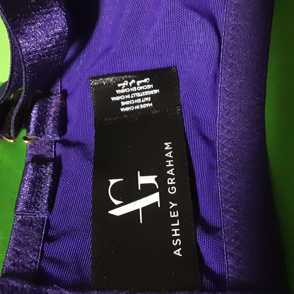 NWT ASHLEY GRAHAM Size 38G Elegant Purple Women's Bra - Picture 2 of 12